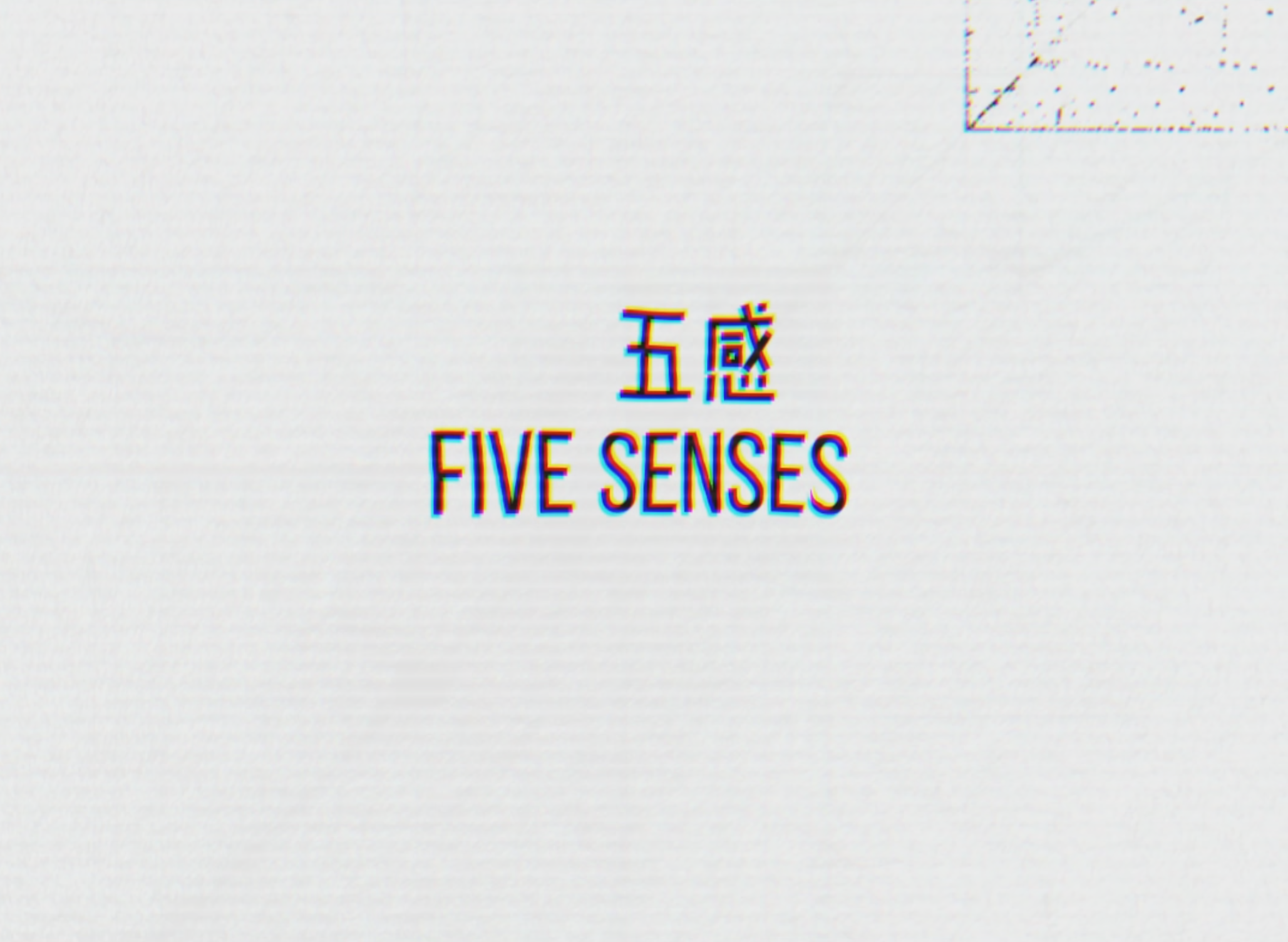 Five Senses